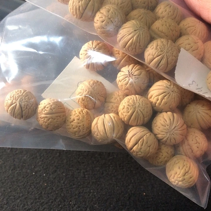 雅***秋吊坠桃核桃核手串