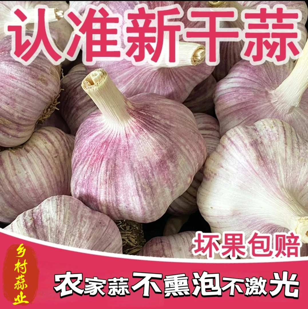 【农家土蒜】5斤新干蒜大蒜可腌大蒜头紫白皮产地发3斤9斤整箱批发