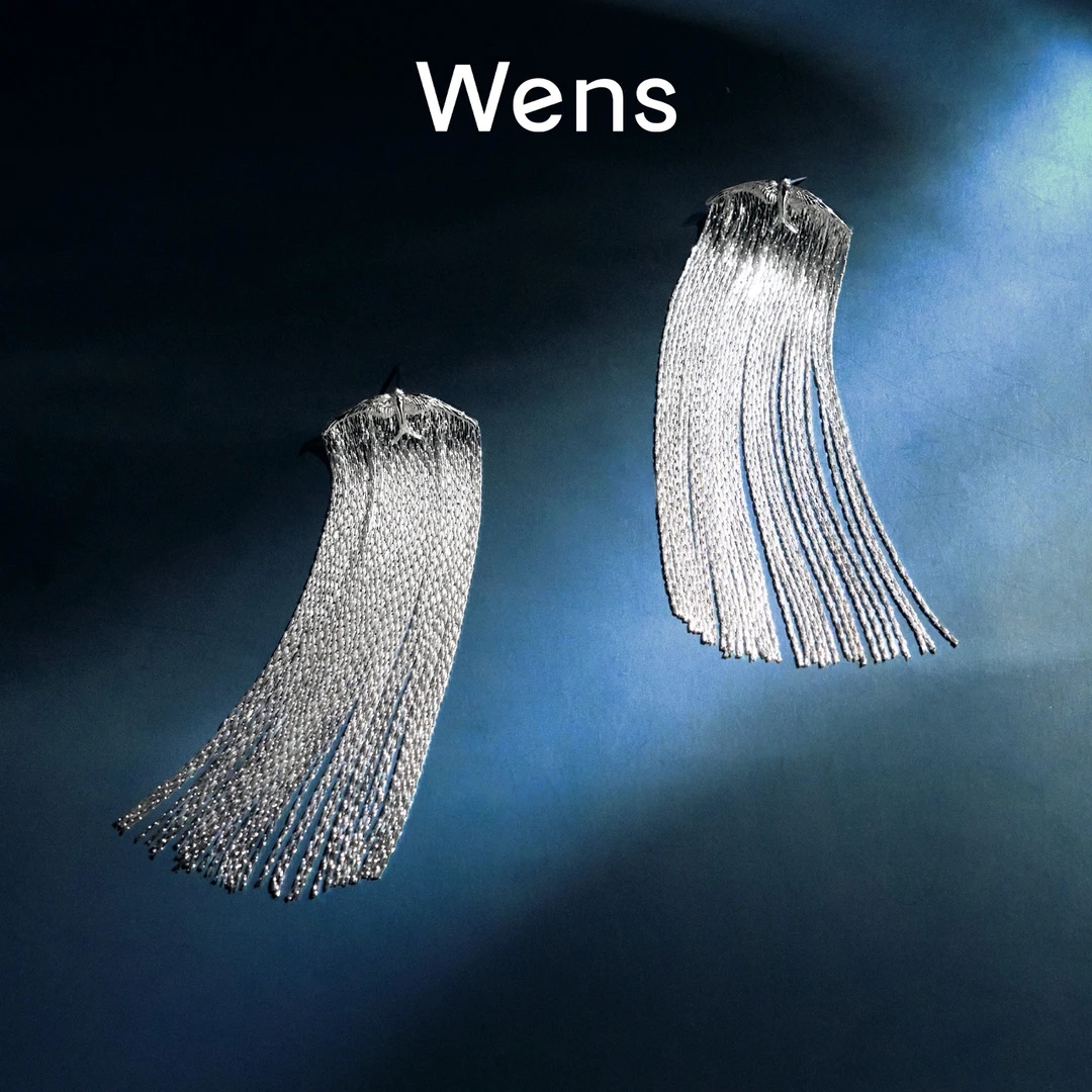 Wens/吻斯 铜合金耳饰 明星同款百搭飞鸟流苏耳环银色时尚简约