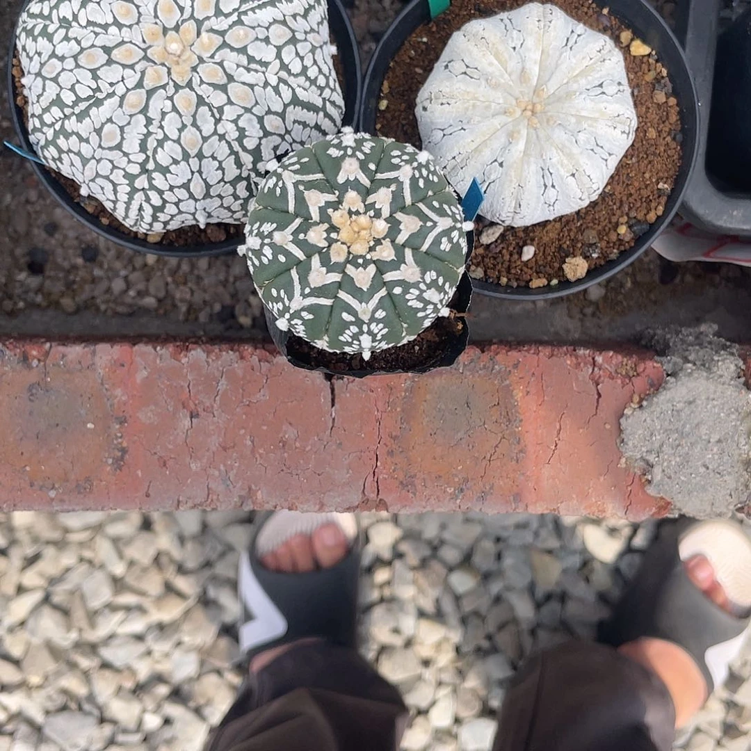 完全开放啥**是特价9 158