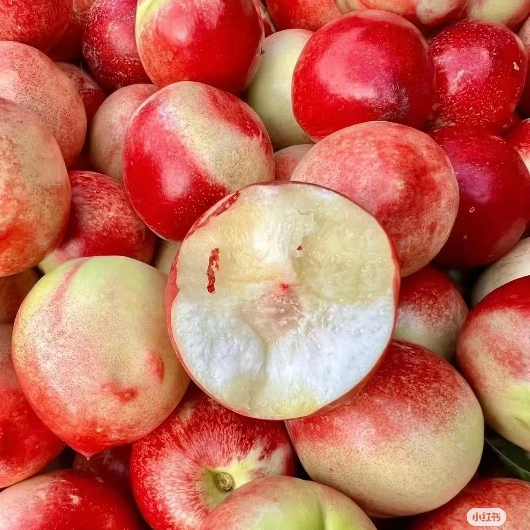 枣蜜桃福利（1斤）盒g上海市