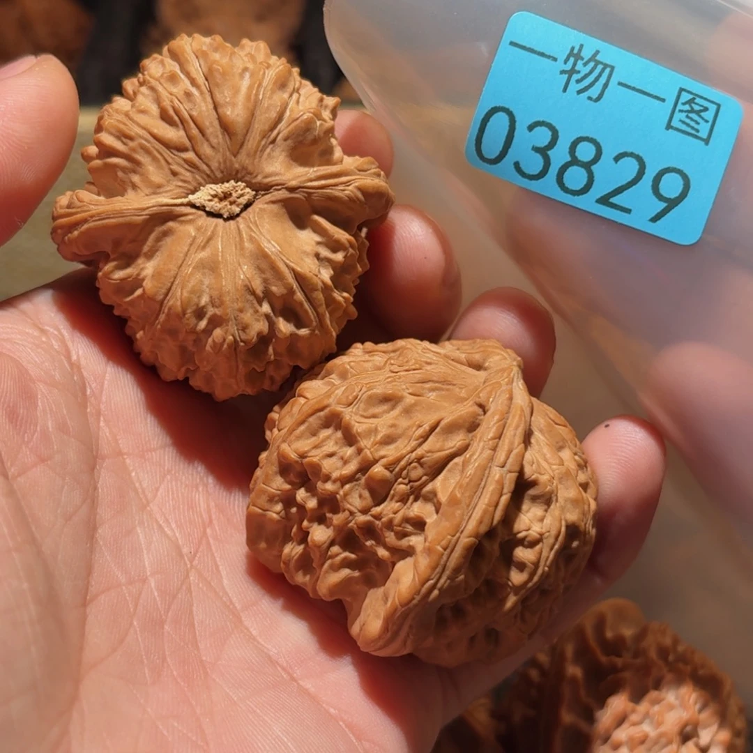 文玩核桃把件白狮子