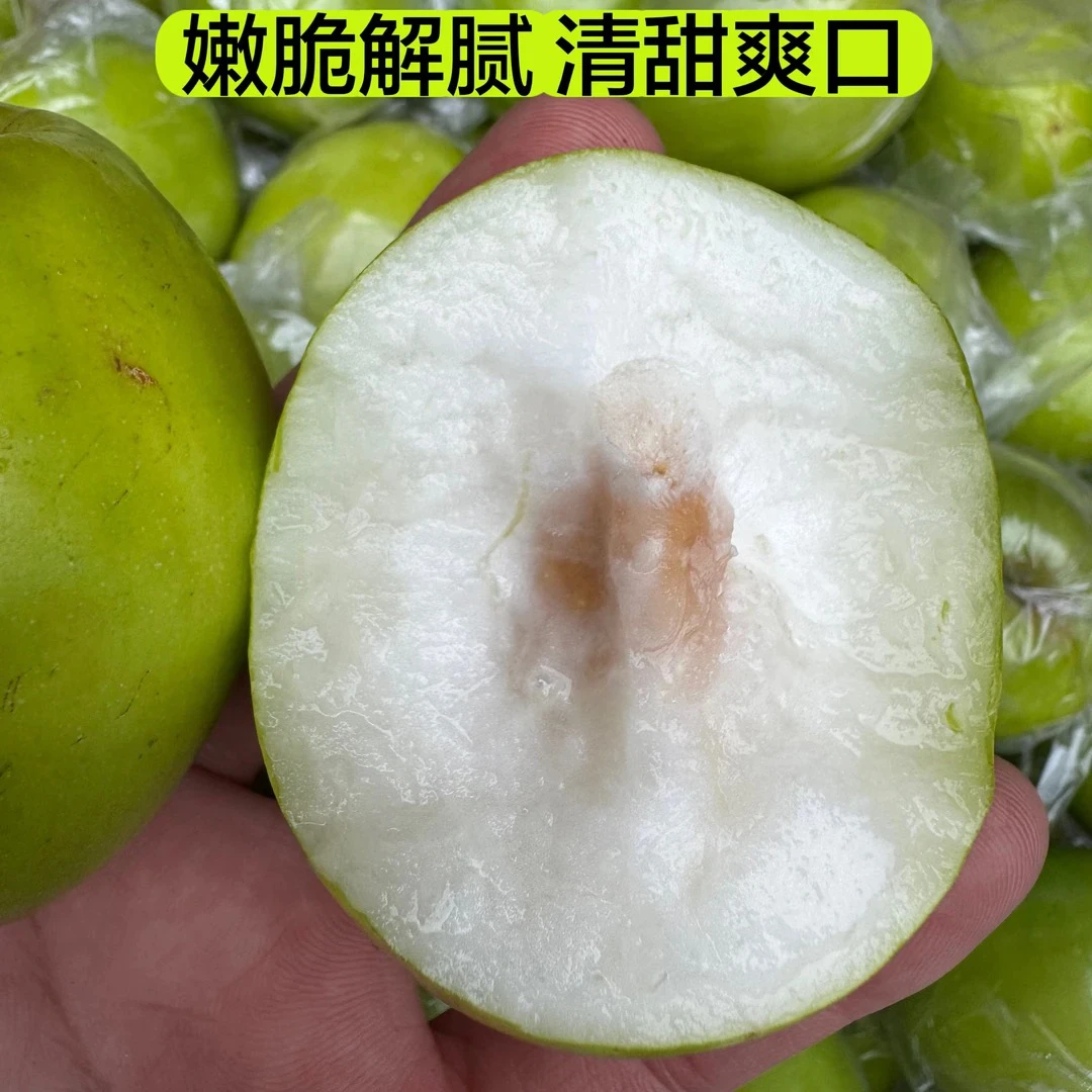 A大青枣 低糖清甜 嫩脆爽口 解渴解腻