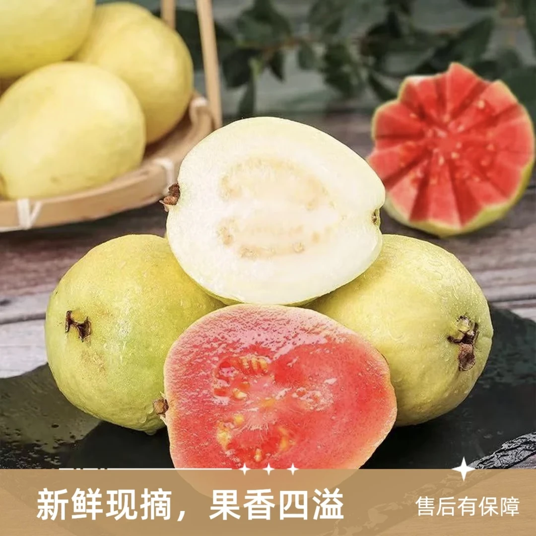 【奶油芭乐】奶油草莓芭乐番石榴3斤当季新鲜脆甜奶油白肉芭乐包邮