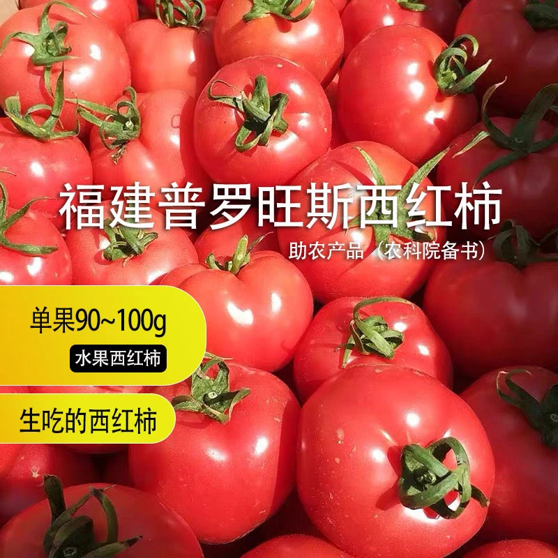 新【水果西红柿】给个机会从未体验的好吃【果王级别】轻视佳品西红柿
