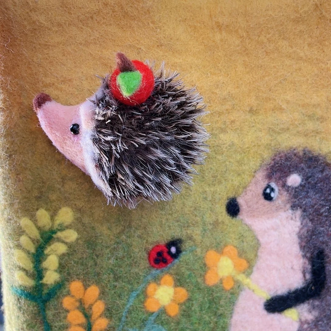 织绣o o o o o o o o o