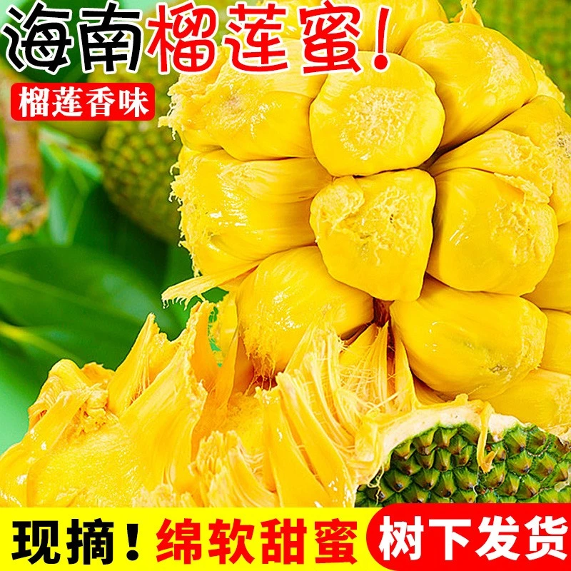 储褚海南三亚榴莲蜜热带水果当季新鲜香甜软糯手撕湿苞榴莲