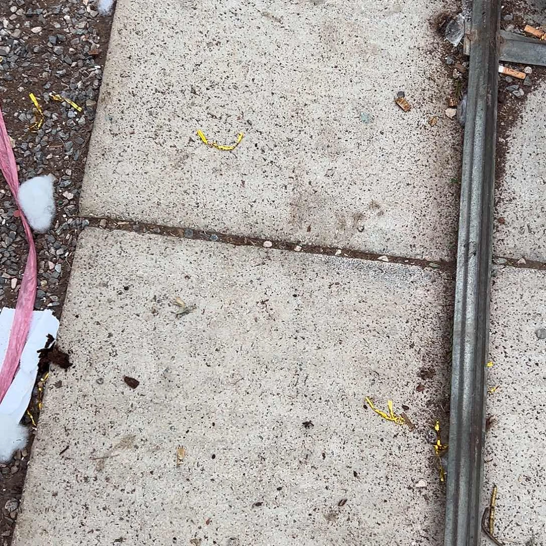 完全开放姜糖老庄随机发货不售后