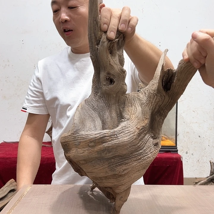 柏木嘉*我们都是好孩子呀我也