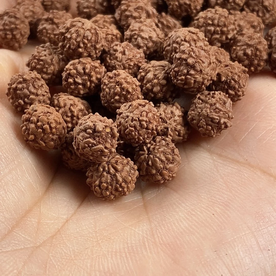 金刚菩提把件精品梅花小金刚