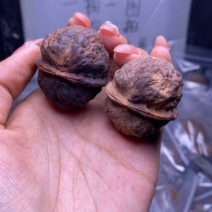 文玩核桃把件云南野生铁核桃223号38mm
