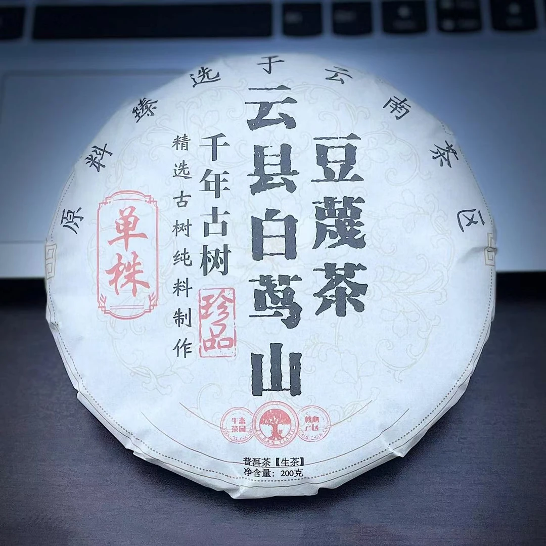 【31】577号 李成军 2023年云县白莺山豆蔑条单株200g饼#3.15#【5+1】