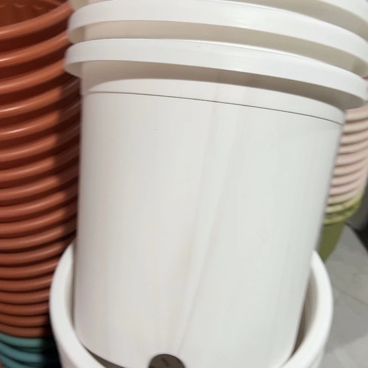 圆5号白瑕疵坏盆3个盆