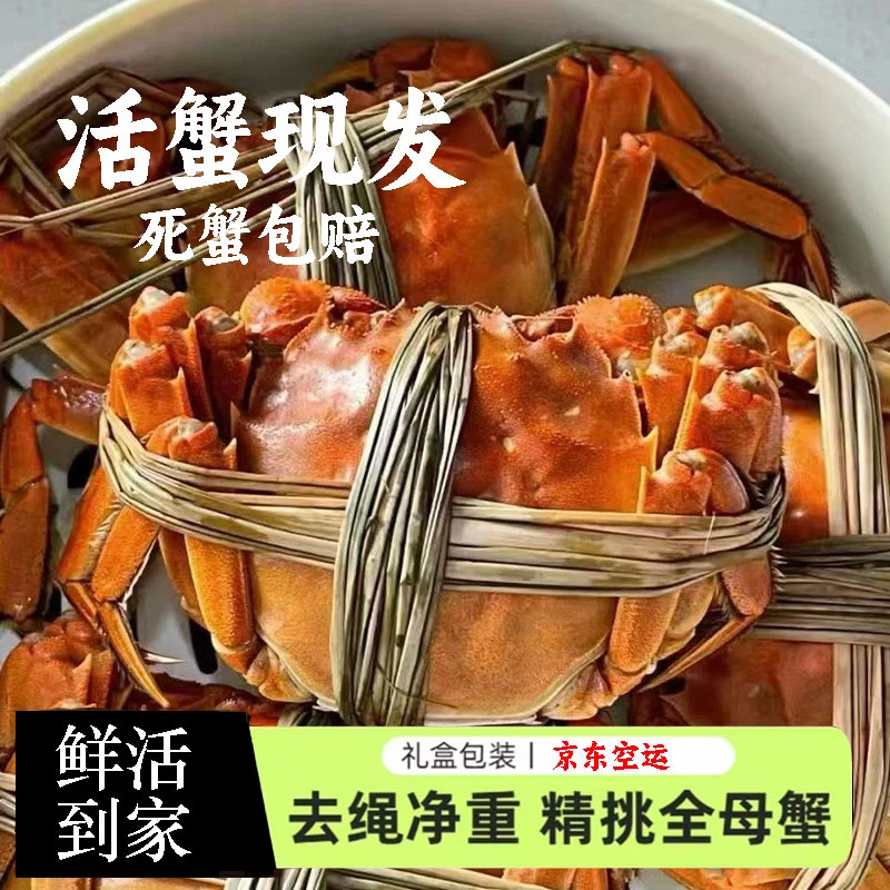 【3两精品全母蟹】6-10只礼盒装鲜活现发包活冷链包邮