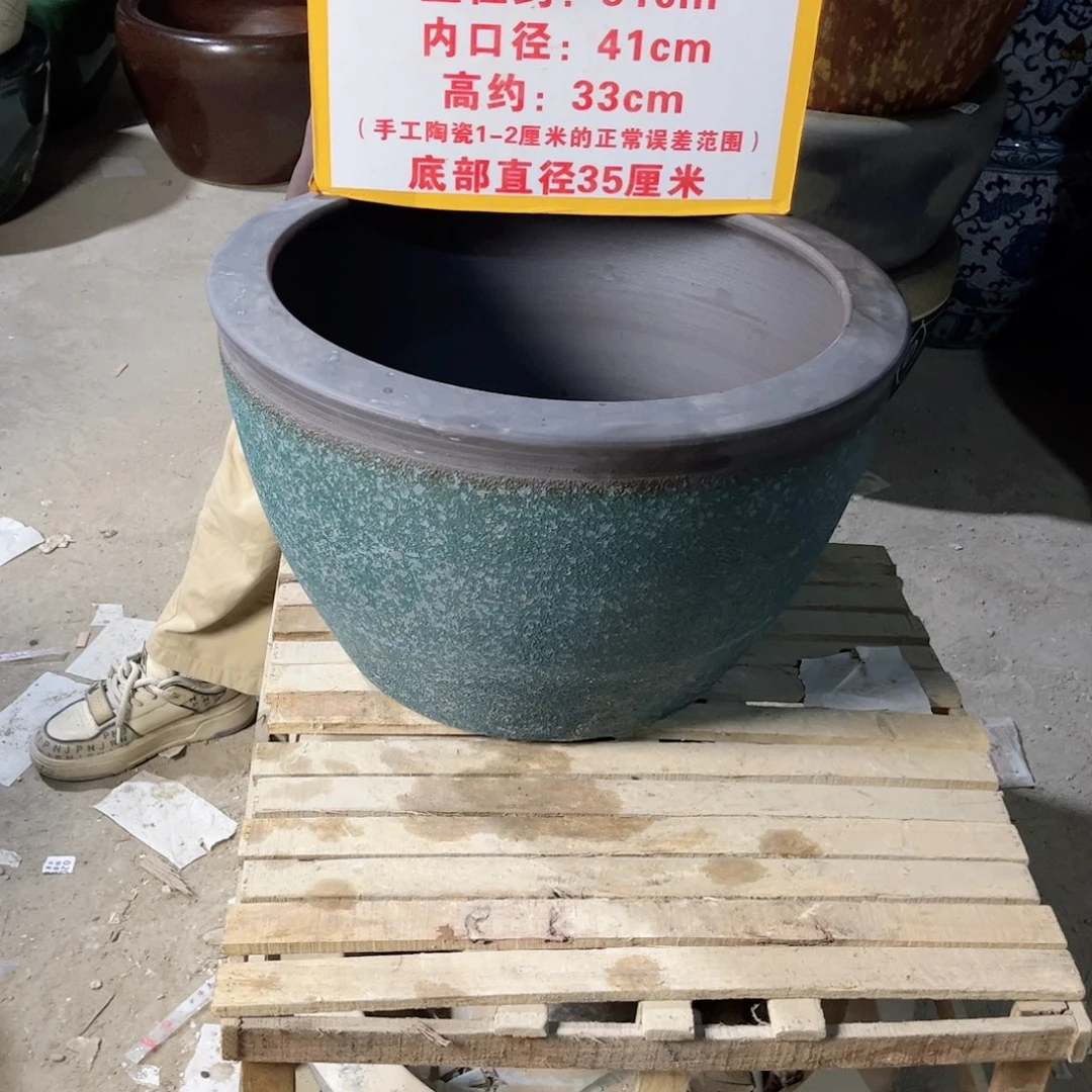 瓷片兰泡52.888888888