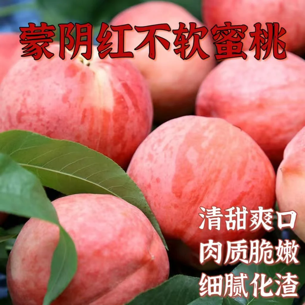 【京东包邮】山东蒙阴红不软毛桃净重4斤  清甜爽口 肉质脆嫩