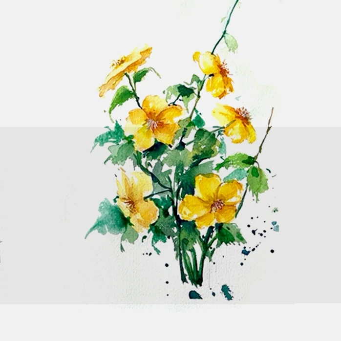 【一期】零基础透明水彩花卉系统课
