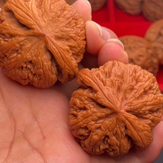 文玩核桃把件秦岭山脉核桃