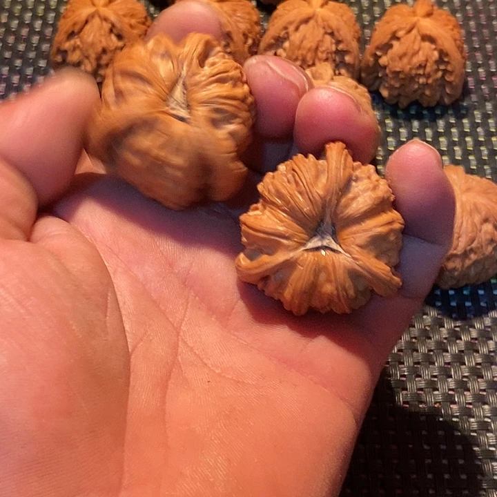 9***伙核桃手串/手链拼接白狮子7
