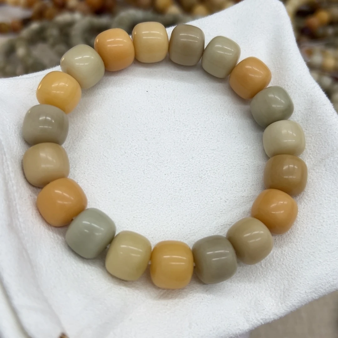 吊坠菩提根/象牙果15干磨燕麦奶咖111