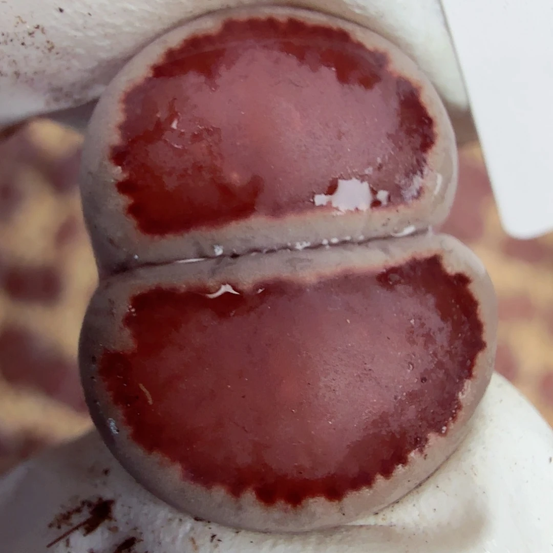 不能给她打吗怎么回431你