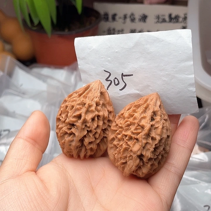 Y*M36尺寸白茬无修小老鼠