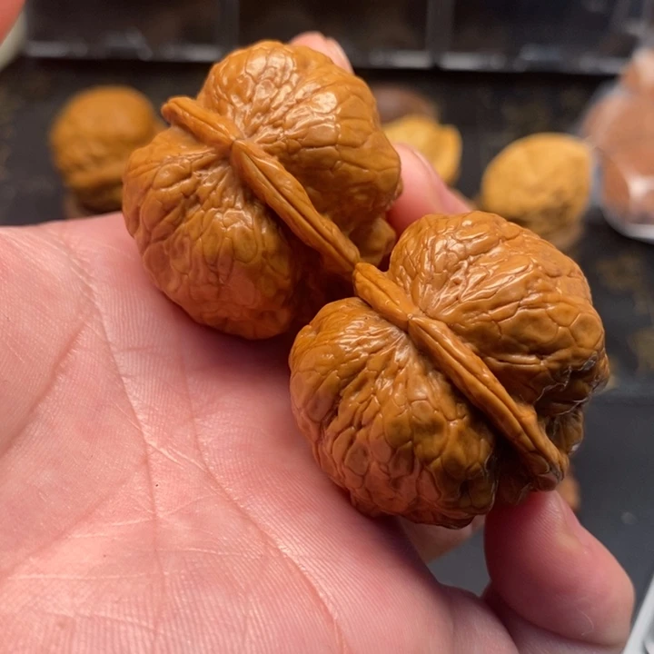 财***…文玩核桃把件老树金蝉疙瘩包