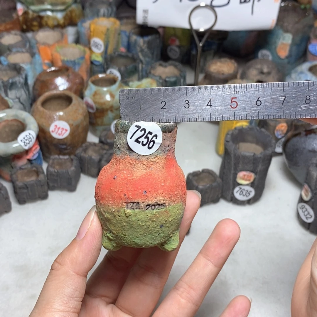 拍3送一个小礼物