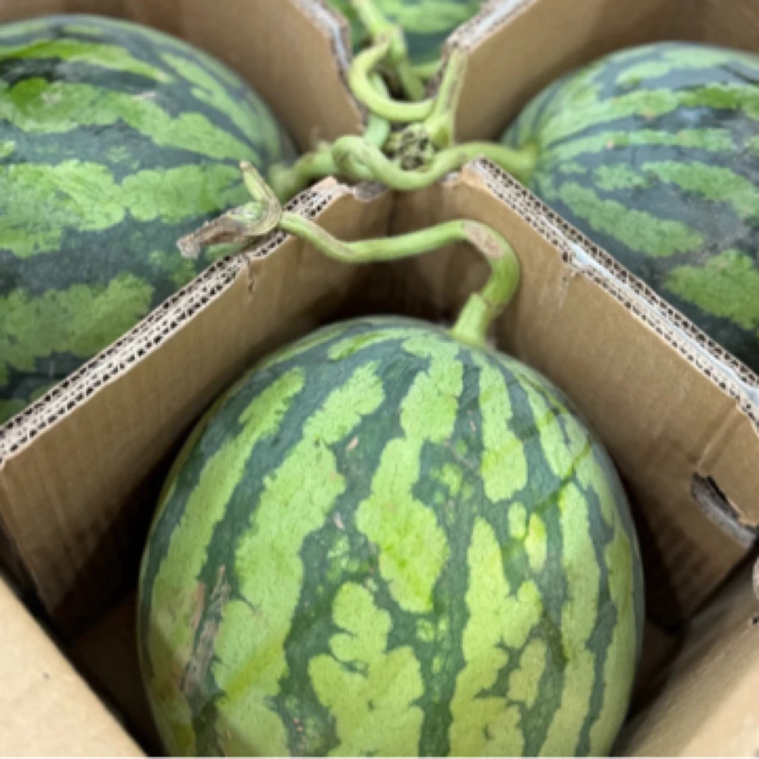 盐城麒麟西瓜200g-300g.一盒0.99元西瓜同城配江苏省
