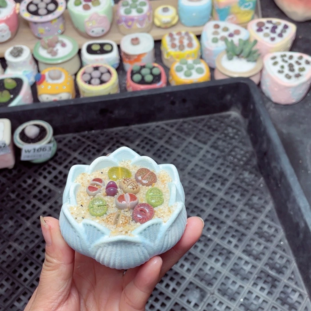 w1064 -零下地区拍保温箱-15支持寄养