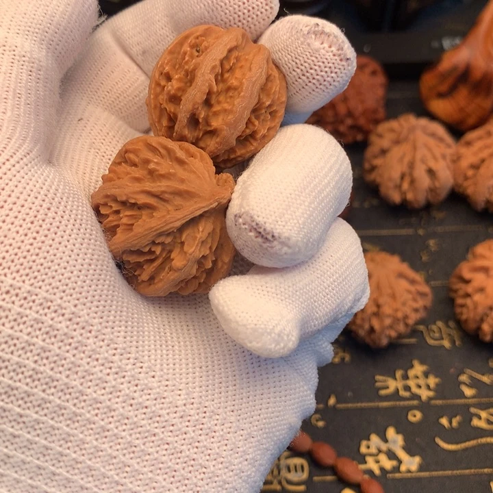 秦岭森林中发现两条