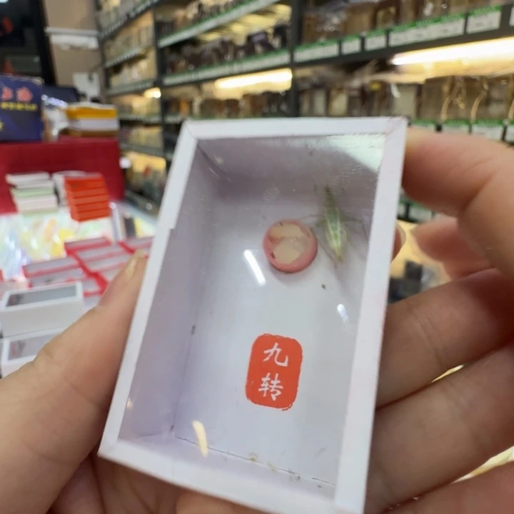 九转竹蛉合适1只好看