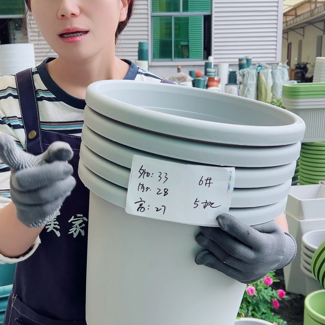 四季盆6#灰白5个无托