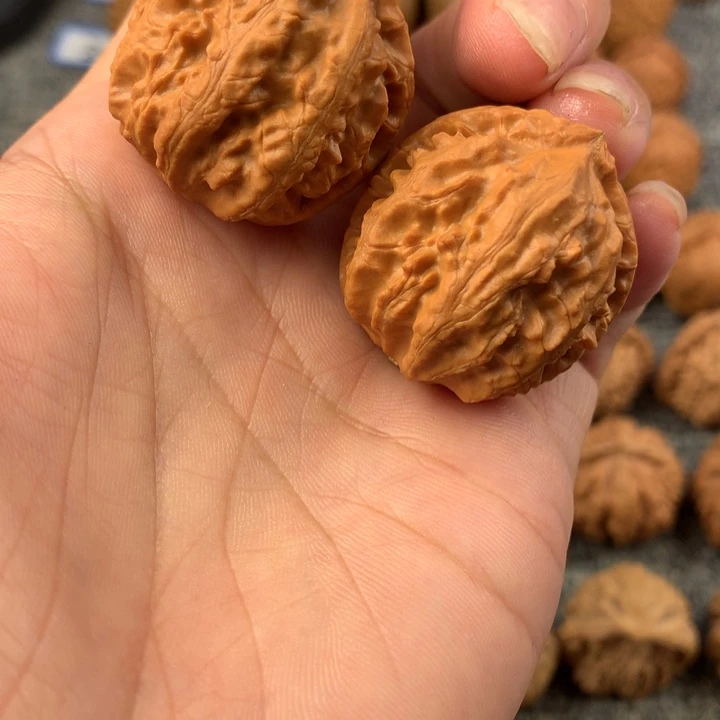 金蝉。