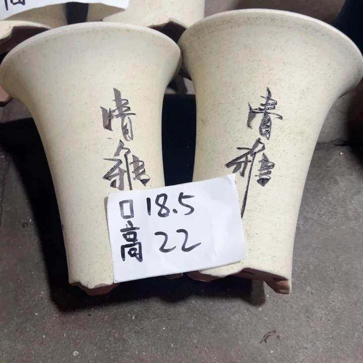 周深周深周深周深