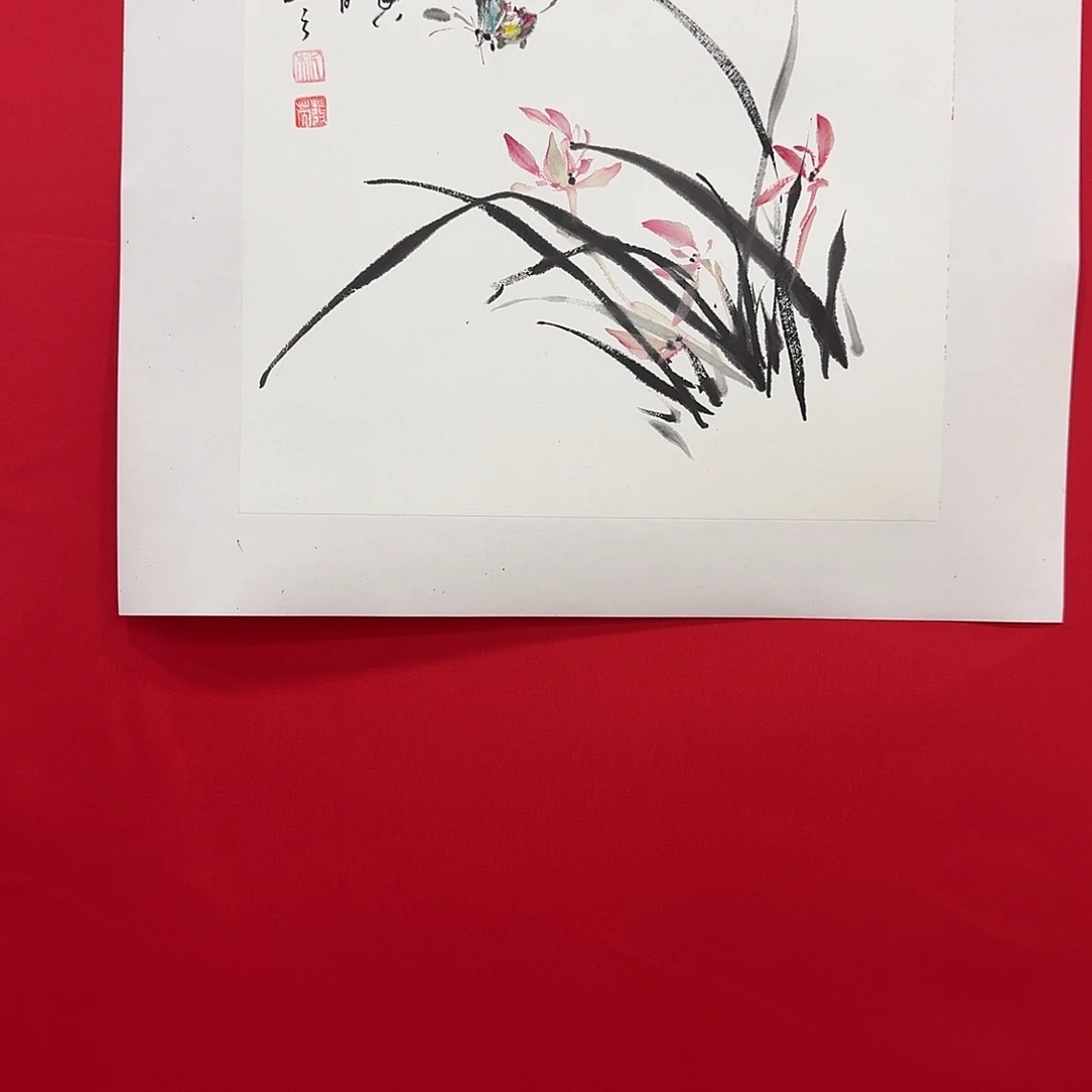 国画新号开播福利多多