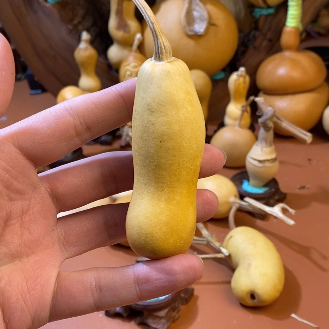 张***瘩教练来咯哦哦哦哦咯