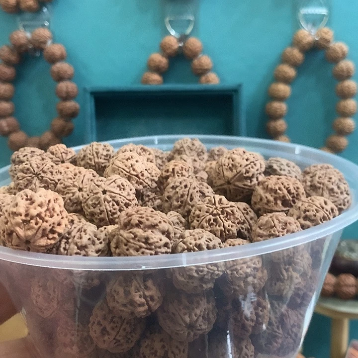 手串金刚菩提我***我