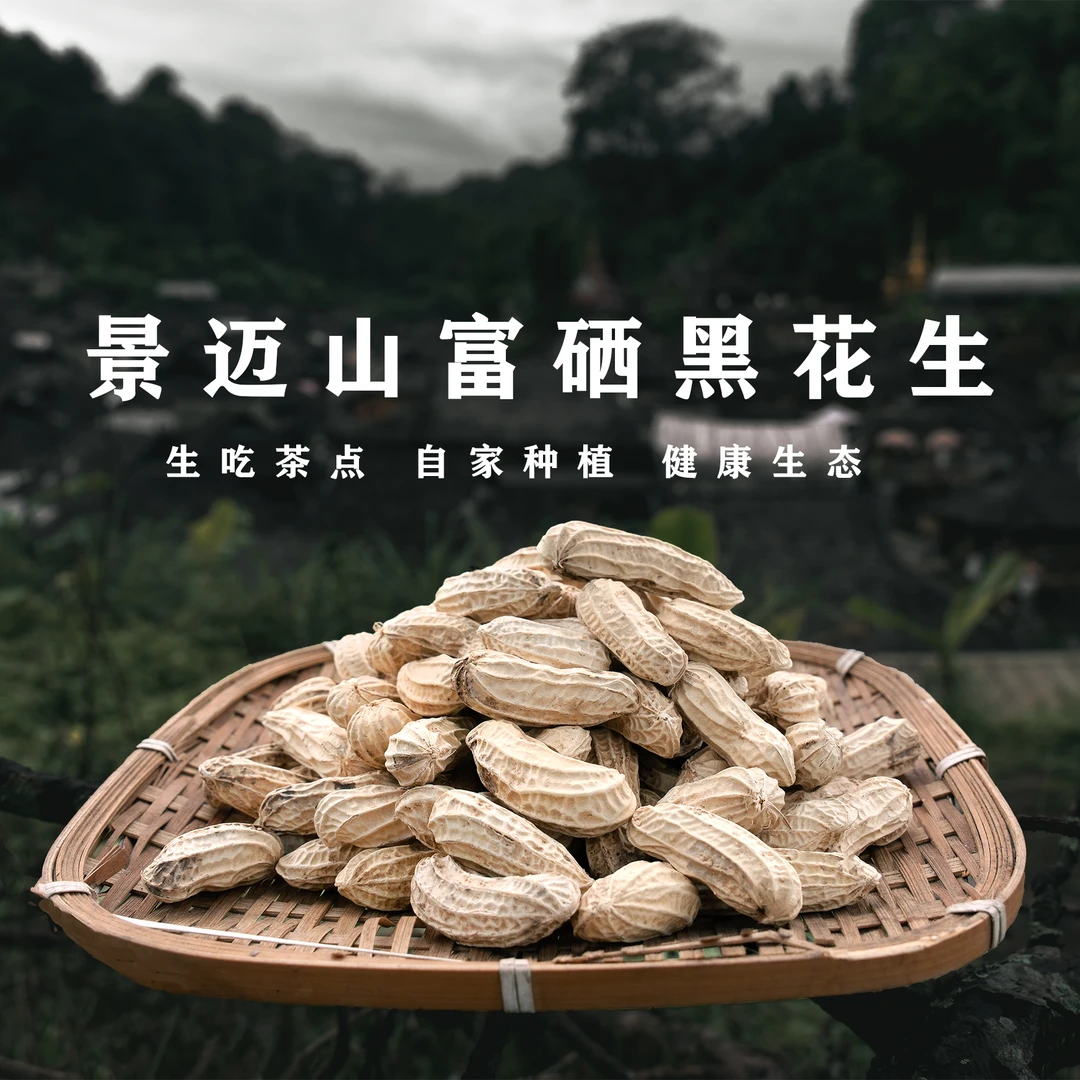 2025年新黑花生景迈山自家田里种的富硒黑花生 好吃得很