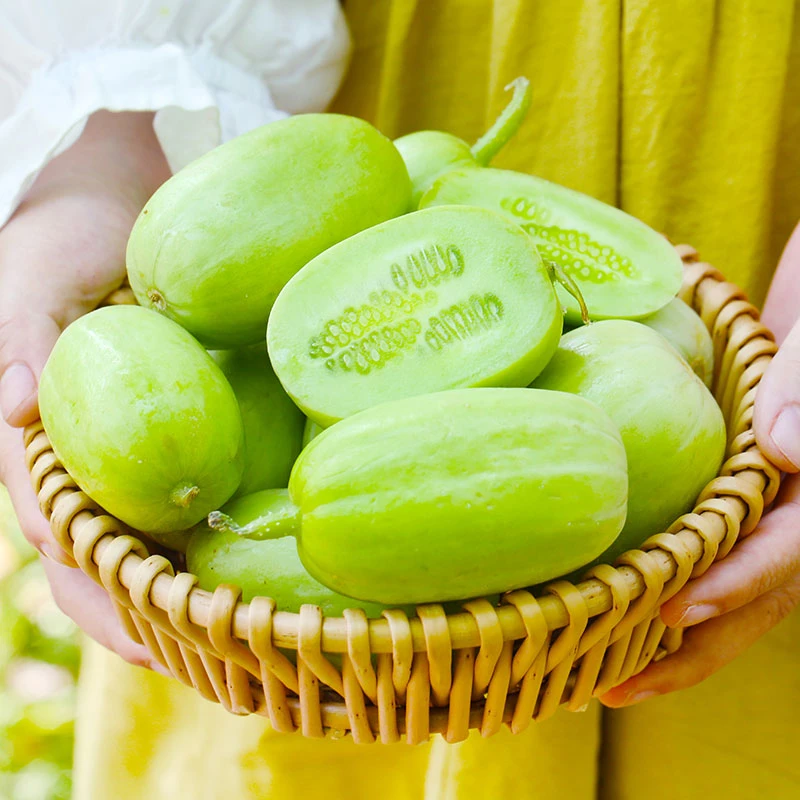 山东新鲜拇指玉女黄瓜3斤/4.5斤 现摘现发 皮薄多汁清甜爽脆