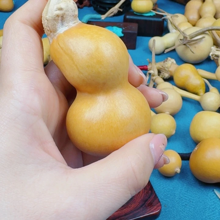 风*阡好花花绿绿咯哦哦哦