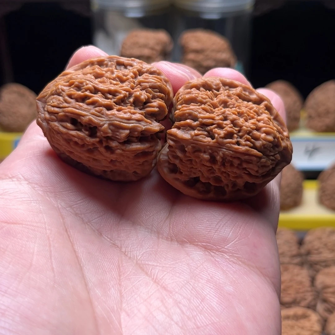 把件文玩核桃༺****༻逐鹿红皮南疆