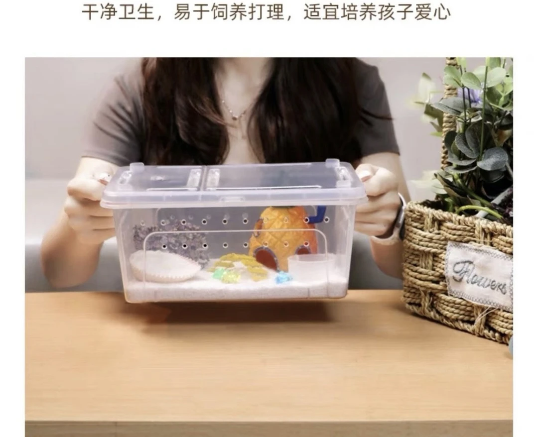 寄居蟹饲养大盒套装