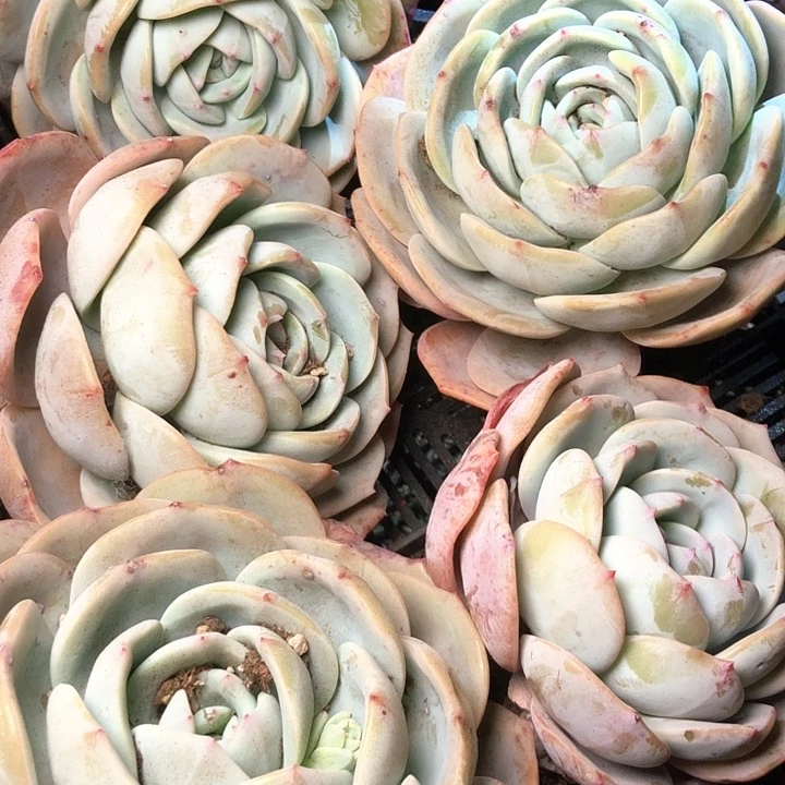 38/////////////////////