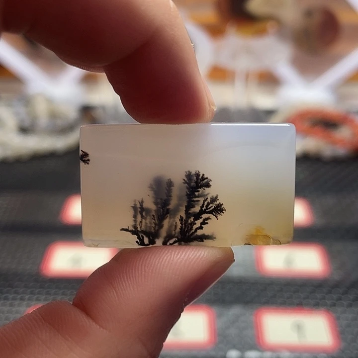 玛瑙/玉髓未镶嵌颈饰1