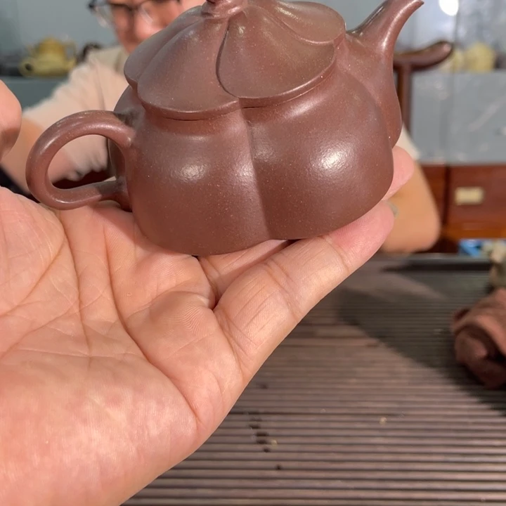 茶壶紫砂哈哈哈哈哈这个综艺