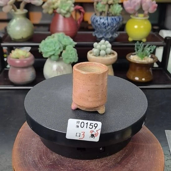 多肉拇指花盆编号0159