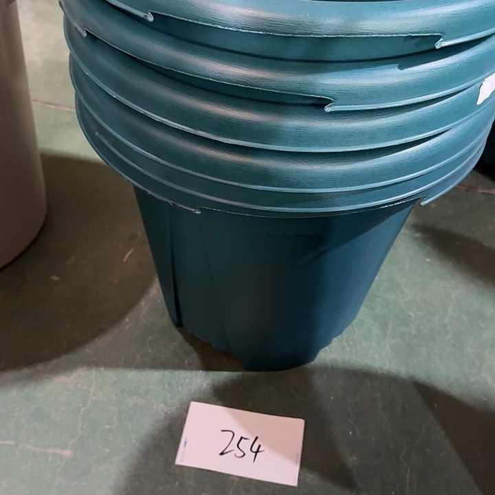 编号254缺口瑕疵