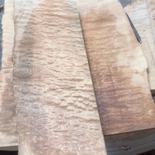 蒙***艺大果紫檀（缅甸花梨）