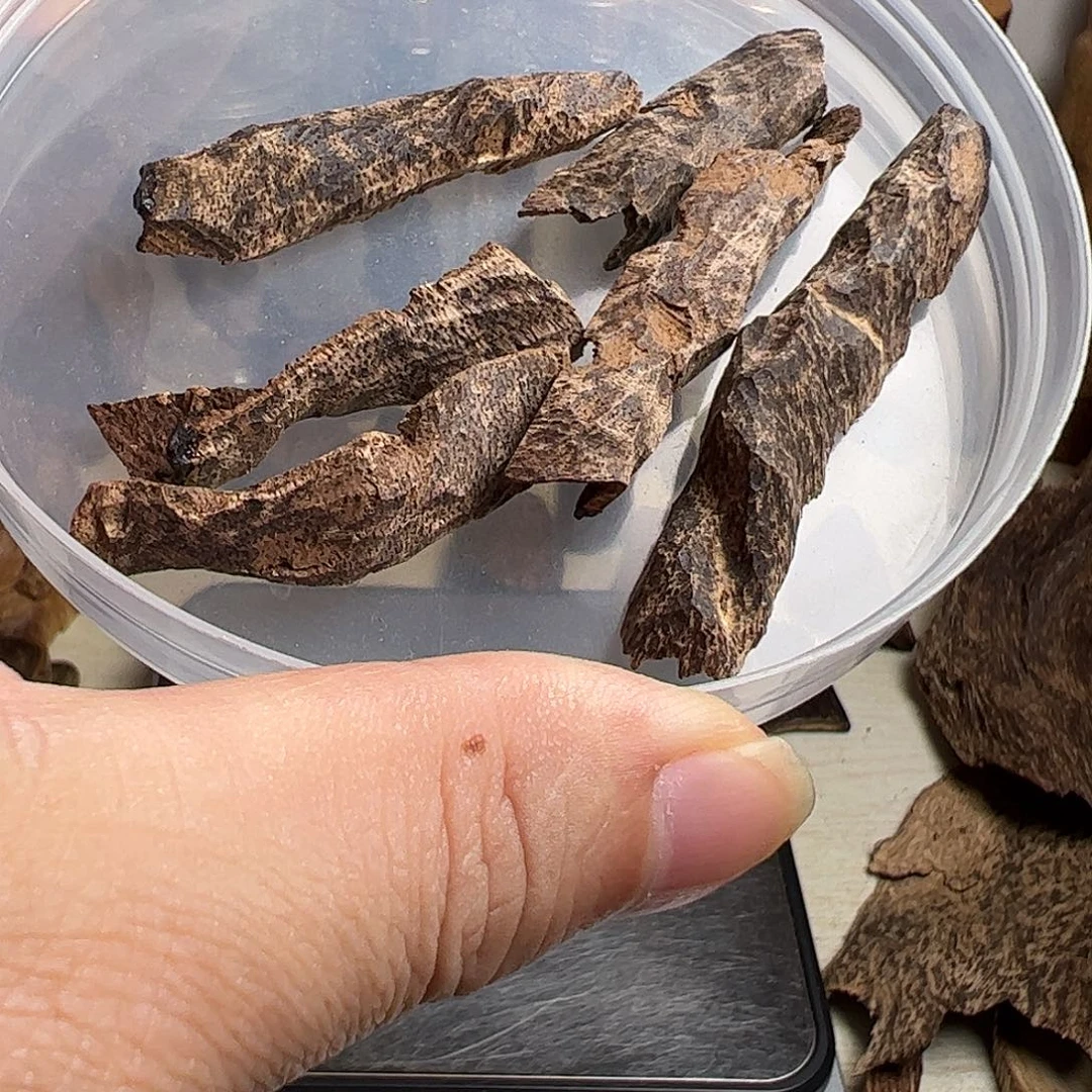 沉香碎屑沉香海南沉香九分壳料5克